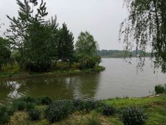 -东郊湿地公园