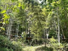 -龙湾潭国家森林公园