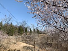 -白水寺森林公园