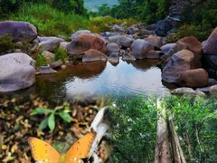 -海南霸王岭国家森林公园