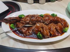 -丁老爷子苏香圆