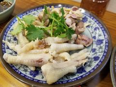 -九斤黄三黄鸡专卖店