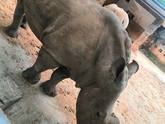 -昆明动物园