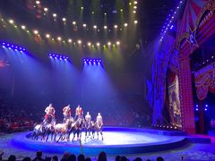 -珠海横琴长隆《卡卡虎奇遇记》