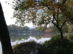 -西湖游船