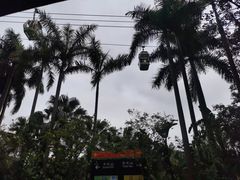 -广州长隆野生动物世界