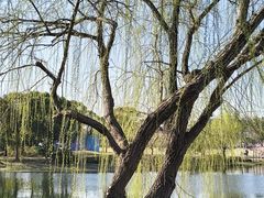 -新江湾城公园