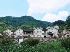 -雁南飞茶田景区