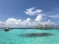 -中央格兰德岛温泉度假酒店 - 全包