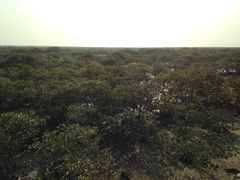 -北海金海湾红树林生态旅游区