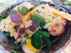 -Ocean's Table 欧舍