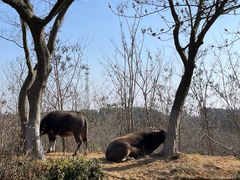 -茅山东方盐湖城景区