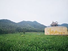 -听风阁农家私房菜茶楼(龙坞店)