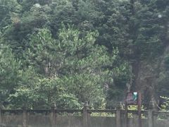 -磐安十八涡风景区