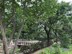 -尚庄度假村·庭台树下·户外烧烤·团建CS·轰趴营地(上庄水库店)