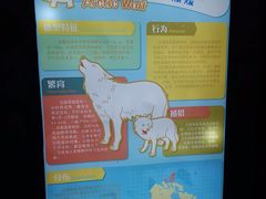 -上海海昌海洋公园-冰山北极馆