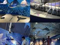 -烟台海昌鲸鲨海洋公园