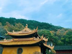 -杭州植物园
