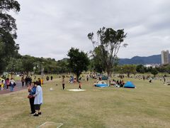 -牛岗山公园