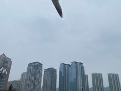 -星海广场
