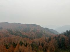 -山王坪喀斯特国家生态公园