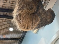 -昆明大悦城未来动物城(螺蛳湾中心店)