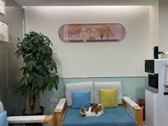 -美迦爱-牙专科·兔科·骨科诊疗中心(北苑店)