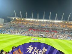 -泰达足球场