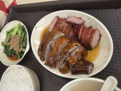 叉烧拼鹅饭-鹅最好(南光店)