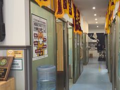 -伟伟宠物医院·瑞派猫友好医院·猫科(光谷店)