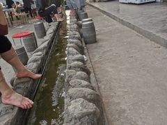 -特种渔场