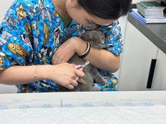 -派特宠物医院(圆融广场店)