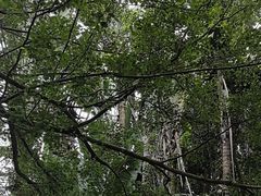 -海南热带野生动植物园