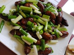 -乌托邦小船海鲜烤吧