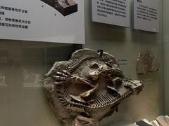 -天津自然博物馆