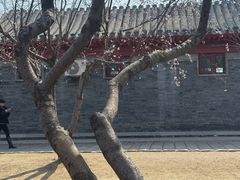 -春风习习