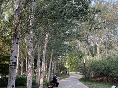-宋庄魁元艺术餐厅