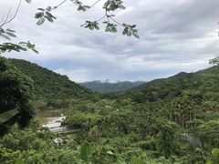 -呀诺达热带雨林