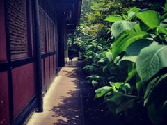 -峨眉山报国寺