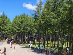 -塞罕坝国家级自然保护区