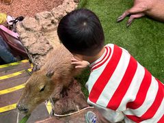 -正佳雨林生态植物园
