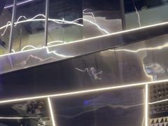 -碧涛阁·泡泡海洋·汤泉洗浴(王府花园店)