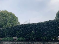 -杭州第一世界大酒店·云曼温泉
