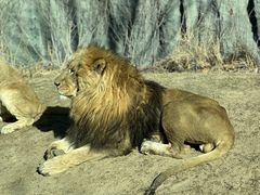 -北京野生动物园