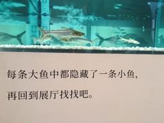 -江苏省美术馆(长江路新馆)
