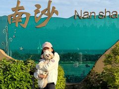 -朱家尖南沙景点