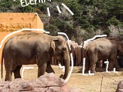 -沈阳森林动物园