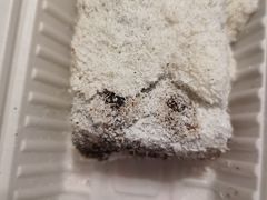 -老回回饺子馆(海洋馆店)