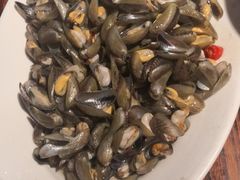 -陈鹏鹏潮汕菜(欢乐海岸 海边景观店)