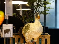 -现代汽车文化中心 Hyundai Motorstudio Beijing